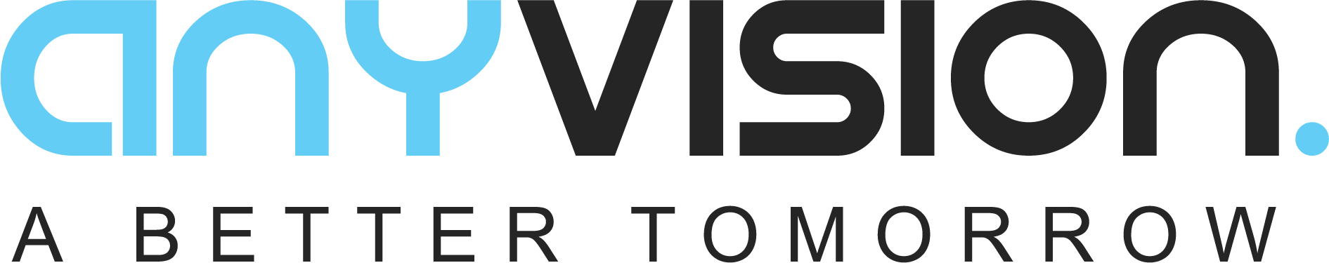 AnyVision Logo_light background
