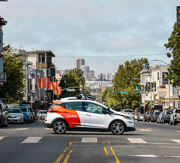 Cruise-Website-585X529